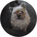 FELINERS profile picture